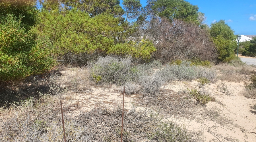 0 Bedroom Property for Sale in Shelley Point Western Cape